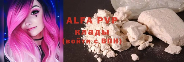хмурый Алексин