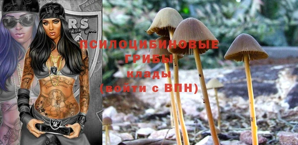 твердый Абдулино