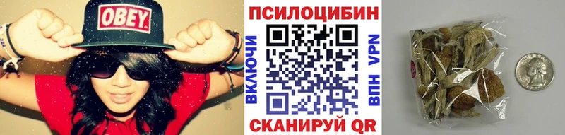 Псилоцибиновые грибы ЛСД  Шилка 